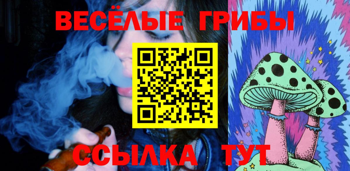 А ПВП СК кристаллы  MDMA  Магазин наркотиков  Бошки Шишки  Вход с VPN  Гашиш  Тара  Cocaine  Гашиш  Меф МЯУ МЯУ  