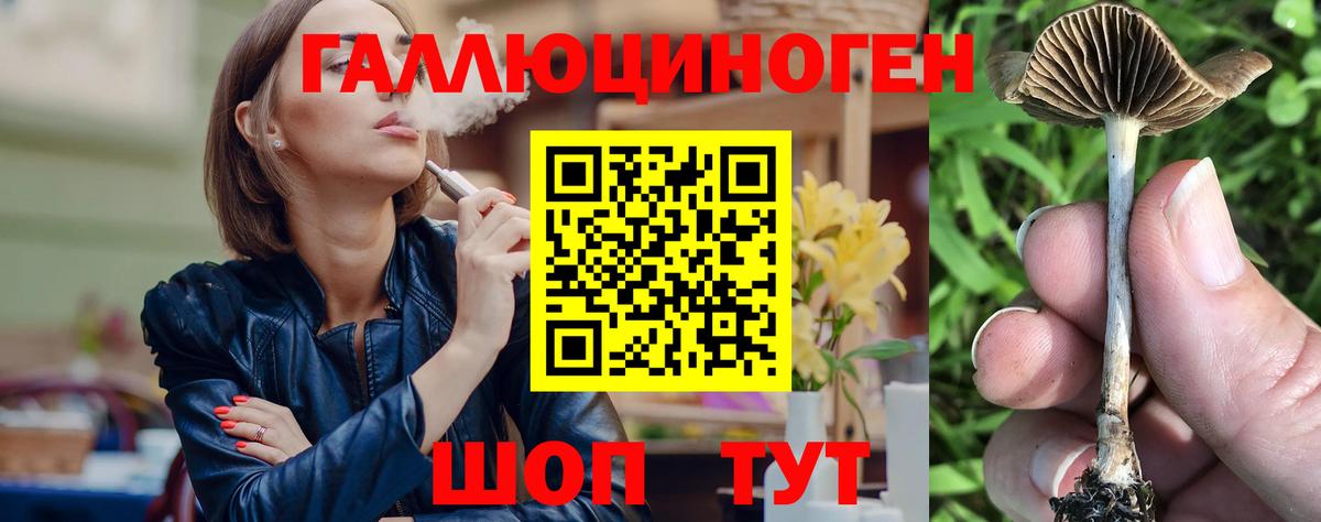 Псилоцибиновые грибы прущие грибы Тара