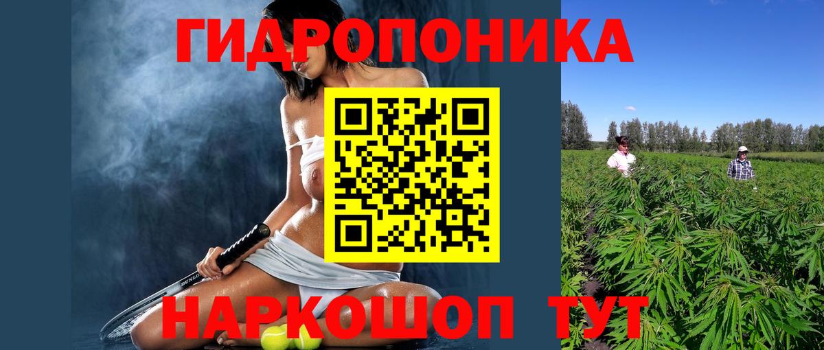 Бошки Шишки OG Kush  Вход с VPN  Марихуана ГИДРОПОН  МАРИХУАНА MAZAR  Тара 